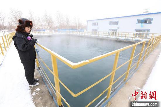 独山子石化公用工程部副总工程师王静丽正在2号工业水场监测池查看水质。　谷怀春 摄