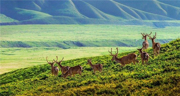 Qilian Mountain, a fairyland in autumn