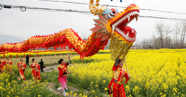 Cole flowers in full bloom in Hanzhong, Shaanxi Province