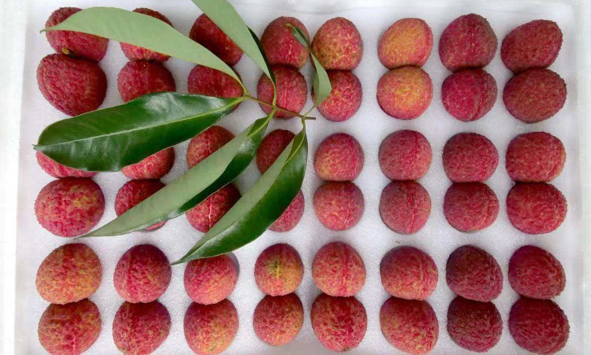The 24 pairs seedless lychee in carton (Photo/Courtesy of Gao Zhaoyin)