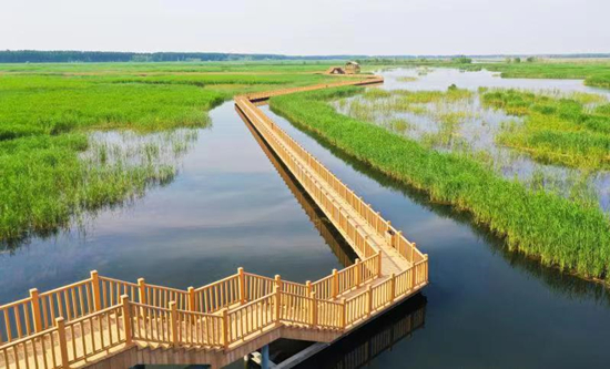 Scenery of Baiyangdian Lake. (Photo provided by The Bureau of Publicity and Network Information of the Xiong'an New Area)