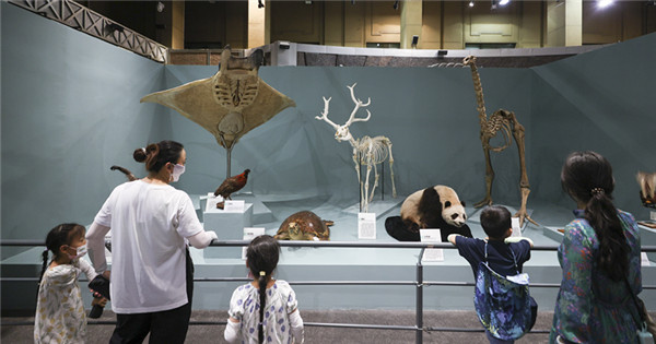Themed exhibition celebrates inauguration of National Natural History Museum of China