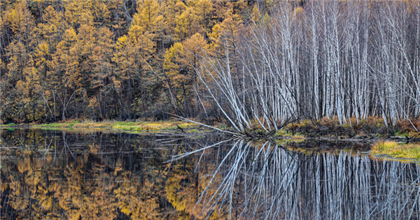 Fairy tale wonderland in Heilongjiang's Greater Khingan Range