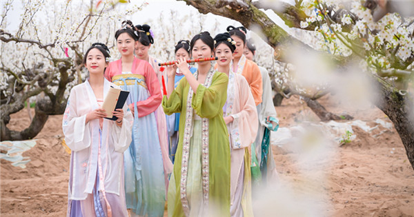 Pear blossoms accentuate the beauty of Hanfu 