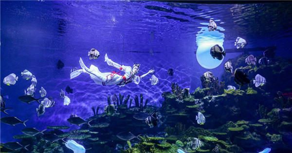 Underwater performance staged to celebrate Mid-Autumn Festival