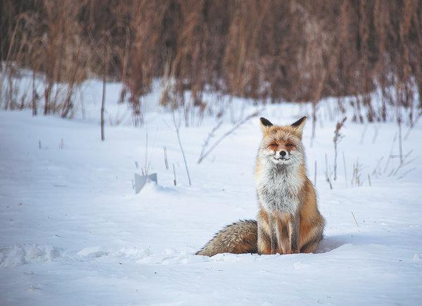 The forest park is home to a variety of wildlife. (Photo by LIU GUOXING/FOR CHINA DAILY)