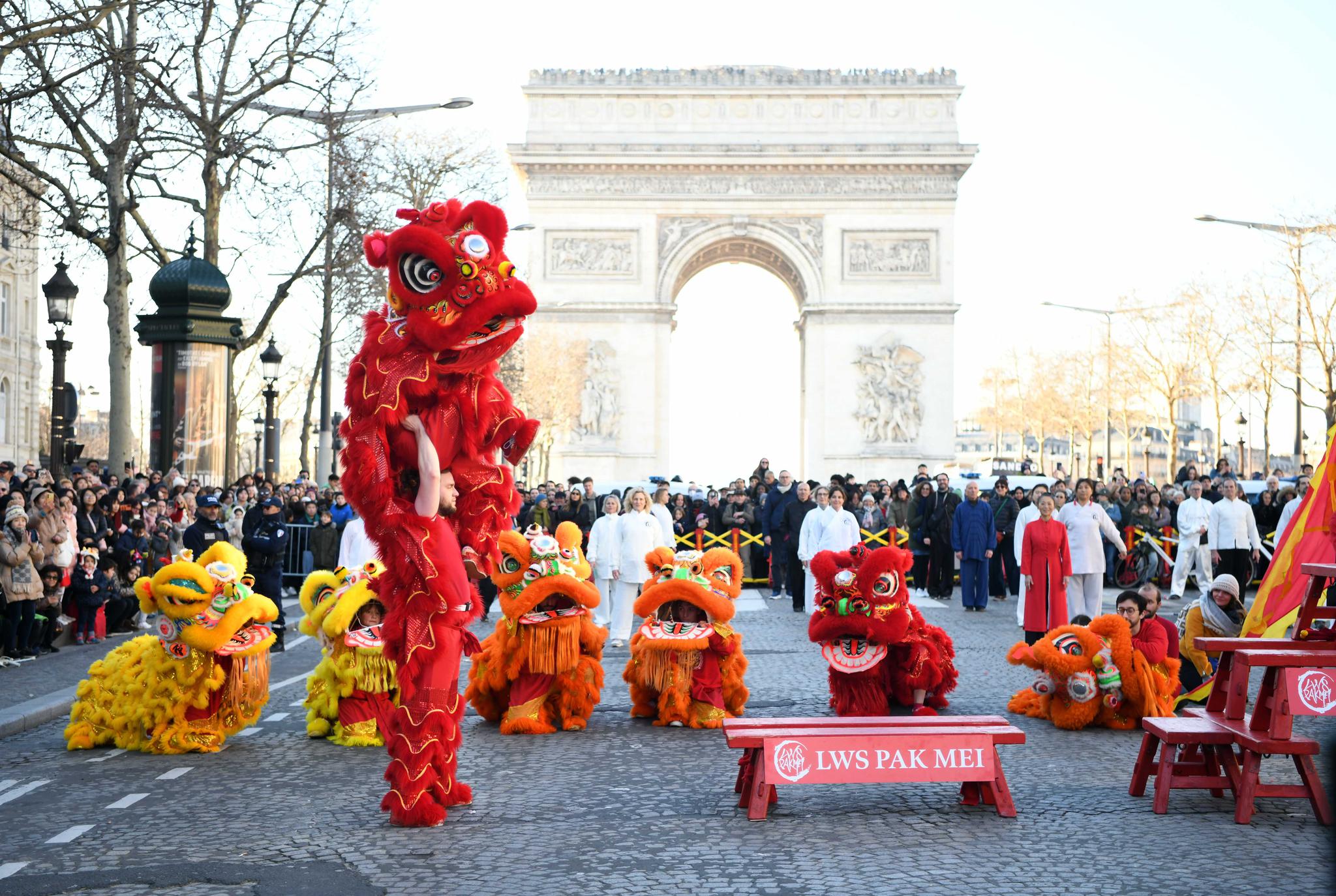 Spring Festival celebrated in Paris