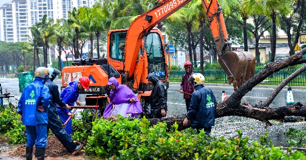 Typhoon Wutip affects S China's Hainan with strong winds, rain