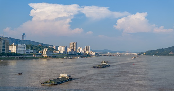 Busy summer cargo traffic shown on Xijiang River in south China