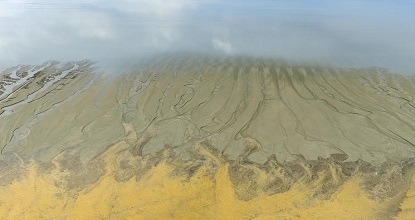 Exploring nature's artistry of tidal trees along the Qiantang River
