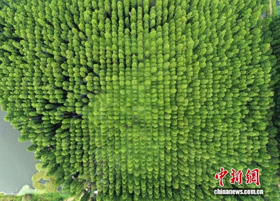 (Photo/VCG)
