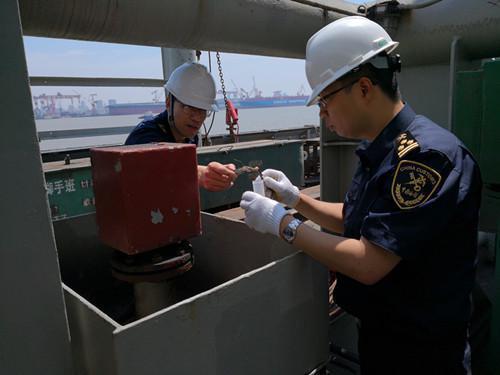 Customs officers in Nantong City, Jiangsu Province, draw samples of toxic brown widow spiders from a Hong Kong-listed vessel.  (Photo / Nantong Customs)