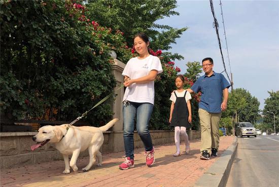 Zhao Qiyi (front) is fostering Bubble, who may be trained as a guide dog, in Dalian. (Cheng Si/China Daily)
