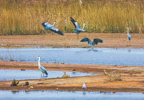 Two Chinese sites added to World Heritage List