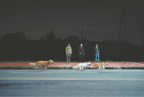Scenes of night life in the suburbs of Guangzhou, Guangdong province, captured by Yan: People exercising dogs. [Photo by YAN JIACHENG/FOR CHINA DAILY]