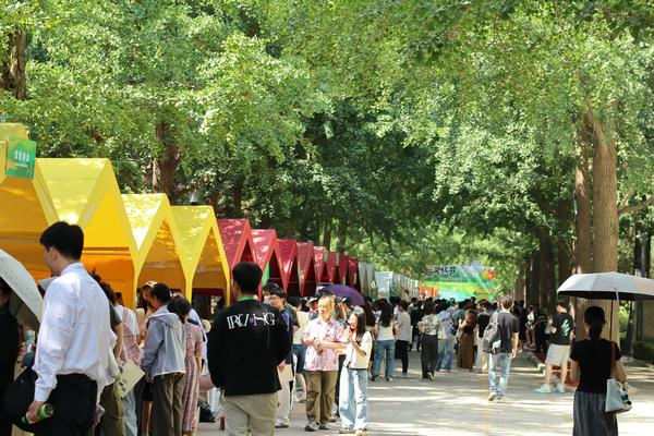 People visit different stalls at the second International Culture Festival of Beijing Forestry University, on June 11, 2025. [Photo provided to chinadaily.com.cn]