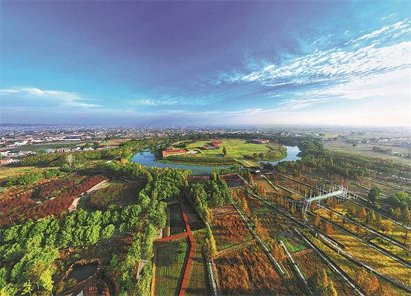 A bird's-eye view of Chengtoushan national archaeological site park. [Photo provided to China Daily]