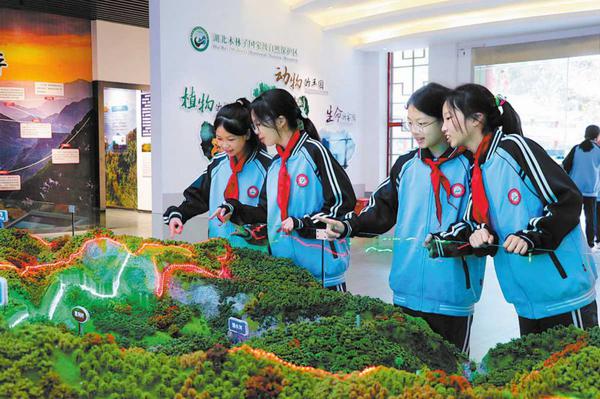  Children view a display at the museum of Mulinzi National Nature Reserve in the Enshi Tujia and Miao autonomous prefecture, Hubei province, during this year's spring break. PROVIDED TO CHINA DAILY