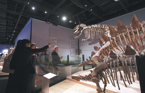 The ongoing China's Dinosaur World exhibition at the Shanghai Natural History Museum brings together 118 representative dinosaur specimens and key models from 12 national scientific research institutions and science museums across China. CHINA DAILY