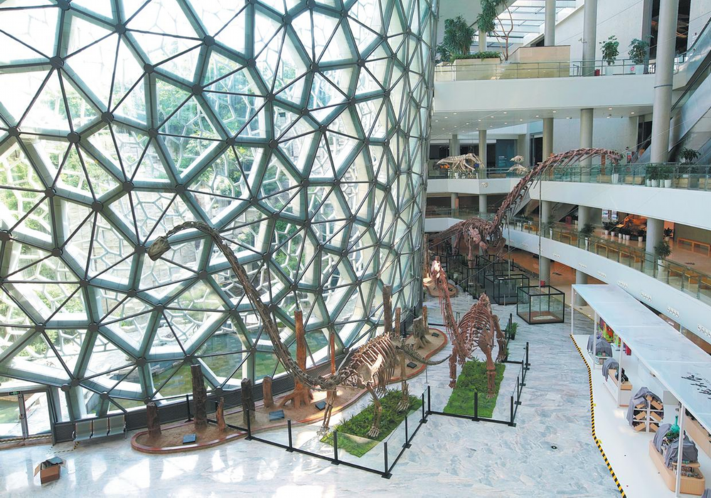  The ongoing China's Dinosaur World exhibition at the Shanghai Natural History Museum brings together 118 representative dinosaur specimens and key models from 12 national scientific research institutions and science museums across China. CHINA DAILY