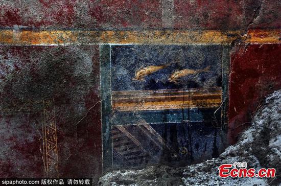 Dolphins painting found in Pompeii ruins 