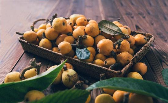 Loquats or pipa in Chinese (Photo/shine.cn)