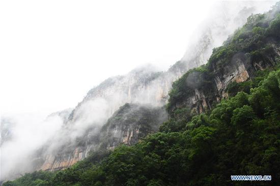 Scenery of gorge in Wushan, China's Chongqing