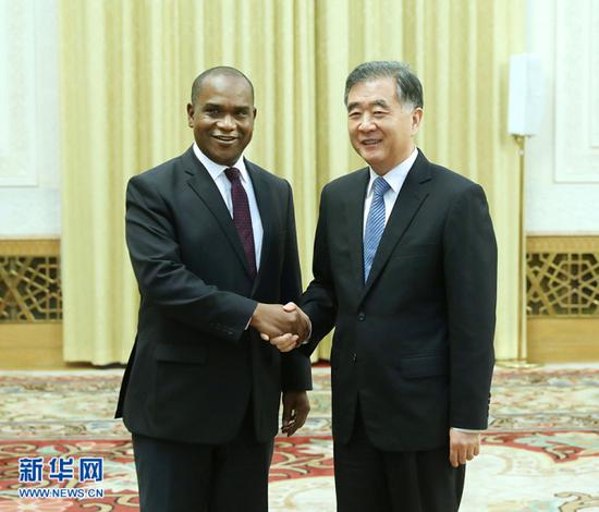 Wang Yang, chairman of the National Committee of the Chinese People's Political Consultative Conference, meets with Burkina Faso's Foreign Minister Alpha Barry on May 28, 2018, in Beijing. [Photo: Xinhua]
