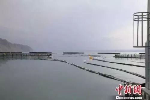The Qinghai reservoir, located at an altitude of 2,600m, is home to the biggest salmon farm operations in China.  (Photo: China News Service/Zhang Tianfu)