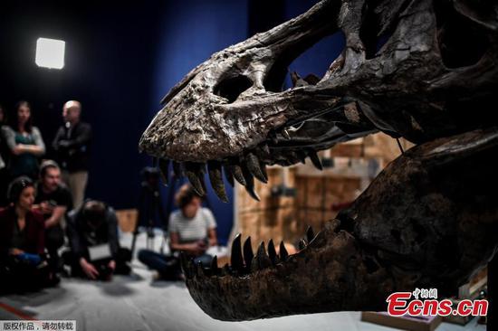 Paris hosts 67-million-year-old Tyrannosaurus Rex