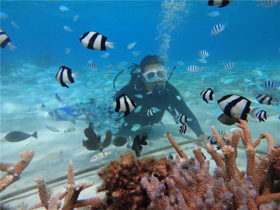A tourist scuba dives under the sea around Saipan, the northern Mariana Islands in the western Pacific Ocean. (Photo provided to China Daily)