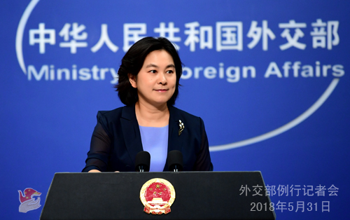 Foreign Ministry spokesperson Hua Chunying addresses a press briefing. (Photo source: fmprc.gov.cn)