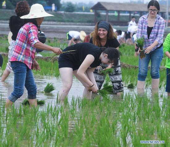 People compete in rice transplanting game in E China