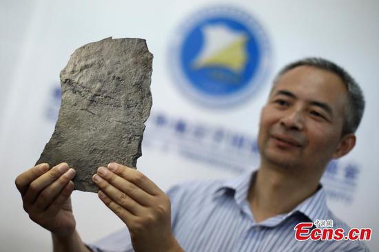 Chen Zhe, a researcher with the Nanjing Institute of Geology and Paleontology at the Chinese Academy of Sciences, shows the earliest known footprints left by an animal on earth, which date back at least 541 million years, in Nanjing, Jiangsu Province, June 7, 2018.(Photo: China News Service/Yang Bo)