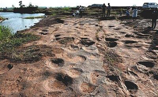 Footprints of dromaeosaurids were discovered in Tancheng County, East China's Shandong Province. (Photo/Beijing News)