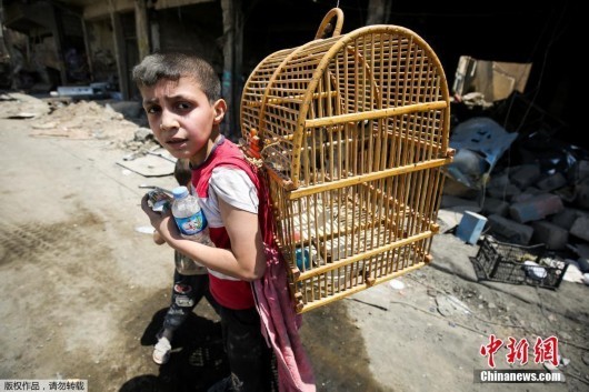 An Iraqi boy carries a birdcage on his back as he flees from the Old City of Mosul on June 20, 2017. (Photo/Agencies)