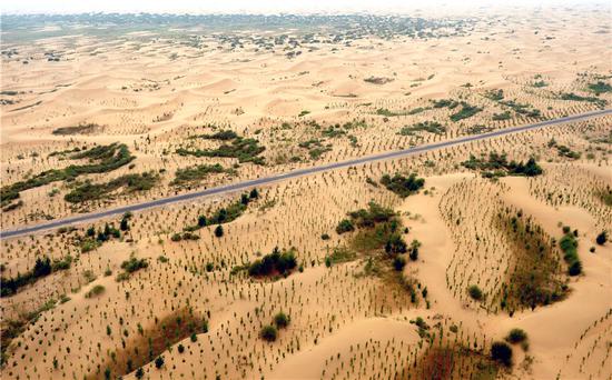 The central government invested in tree planting in Inner Mongolia autonomous region's Kubuqi Desert in 2012. (Photo/Xinhua)