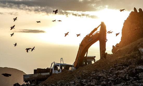 Rosy starlings fly over a road construction site in Nilka county, Xinjiang Uygur autonomous region. (Photo/CHINA DAILY)