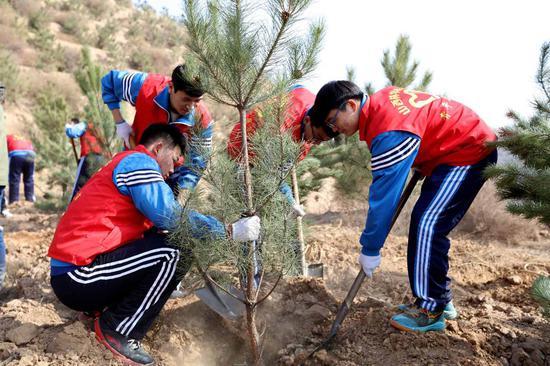 Student volunteers plant trees in Taiyuan city, Shanxi. （JING SHENHAO/FOR CHINA DAILY）