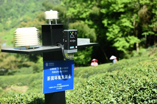 A smart device that uses blockchain technology is installed in a Longjing tea plantation in Hangzhou, Zhejiang, allowing consumers to track the origin and quality of the tea. (Photo by Long Wei/For China Daily])