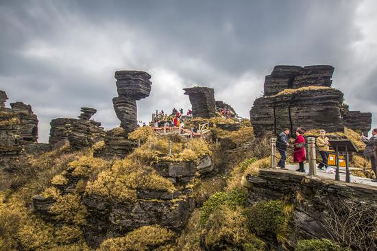 Unusual rock formations attract tourists at Mount Fanjingshan in Guizhou Province. The shape is a result of longtime weathering. (YANG ENUO/FOR CHINA DAILY)