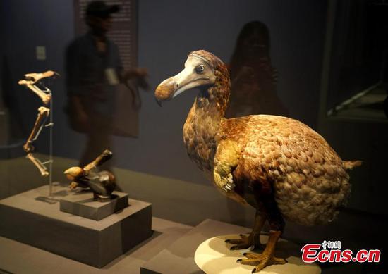Treasures of the Natural World exhibition opens in Taipei