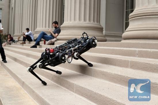 Massachusetts Institute of Technology's Cheetah 3 robot can climb stairs and step over obstacles without the help of cameras or visual sensors. (Credit: MIT)