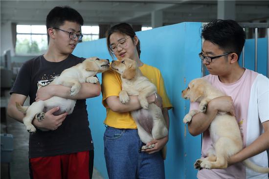 Volunteers prepare to clean kennels at the China Guide Dog Training Center, the nation's first nonprofit institute of its kind, in Dalian, Liaoning Province. (Wang Jing/China Daily)