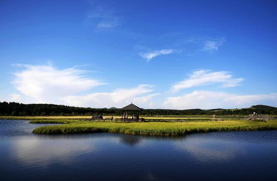 Tourists visit the Qixing Lake Scenic Area of Saihanba National Forest Park in north China's Hebei Province, July 11, 2017. (Xinhua/Wang Xiao)