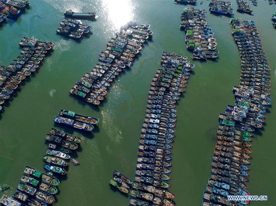 Aerial photo taken on July 10, 2018 shows fishing boats at berth at a harbor in Lianjiang County, southeast China's Fujian Province, as Typhoon Maria, the eighth typhoon this year, approaches the Chinese coast. China's National Meteorological Center (NMC) issued this year's first red alert for Typhoon Maria, which is expected to hit China's coastal provinces on Wednesday morning. (Xinhua/Jiang Kehong)