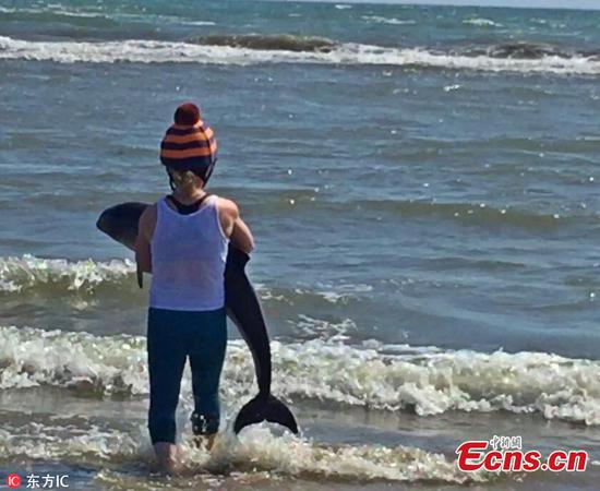 Woman rescues baby dolphin on Ireland beach