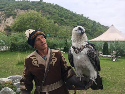 A breeder introduces his saker falcon during a demonstration at the Sunkar Falconry Center in Almaty, Kazakhstan. (Photo: Chen Rui/GT)