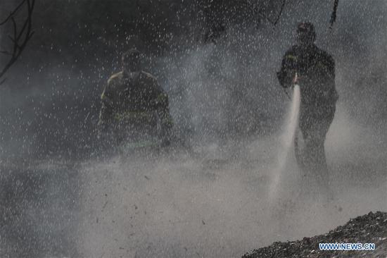 Israeli firefighters attempt to extinguish a fire in a forest field near the Kibbutz of Nahal Oz, near the barrier between Israel and the Gaza Strip, on July 17, 2018. The fire was caused by inflammable material attached to a balloon flown by Palestinian protesters from inside Gaza Strip. (Xinhua/Gil Cohen Magen)