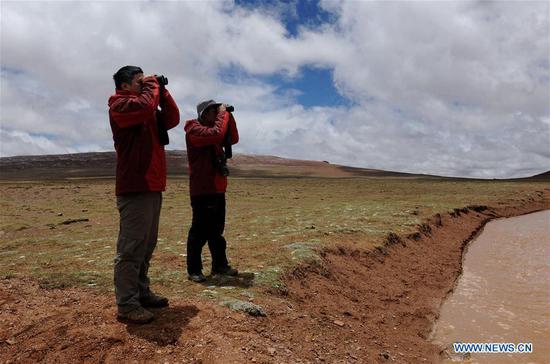 Scientists investigate in Nagqu, southwest China's Tibet Autonomous Region, June 23, 2017.(Xinhua/Jigme Dorje)